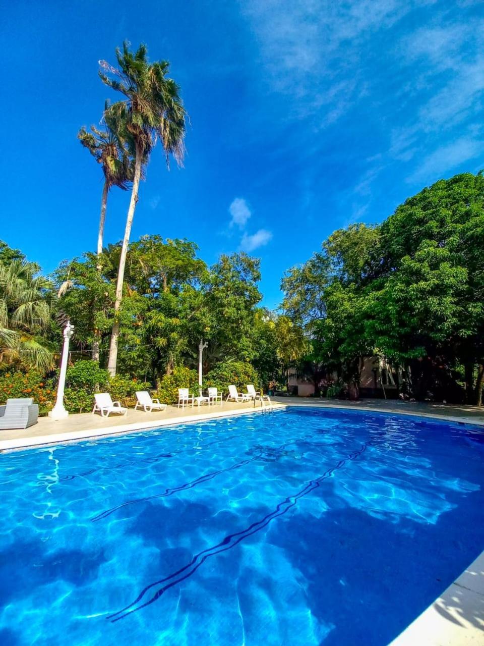 Casa Las Palmas Hotel Boutique San Andrés المظهر الخارجي الصورة